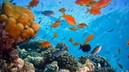 Coral Cover of Australia's Great Barrier Reef Depleting at an Alarming Rate, Tourism to Get Affected