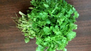 How to Use Coriander (Dhania) to Lose Weight (Watch Video)