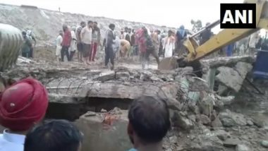 Punjab Rains: Cattle Shelter Roof Collapses In Bathinda, 80 Cows Trapped