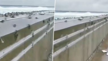 Flying Crabs Spotted in South China’s Yongxing Island as Citizens Prepare for Typhoon Wipha; Watch Video