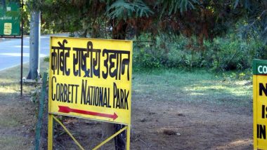 Tiger Kills Man in Kalagarh Area of Corbett Tiger Reserve in Uttarakhand