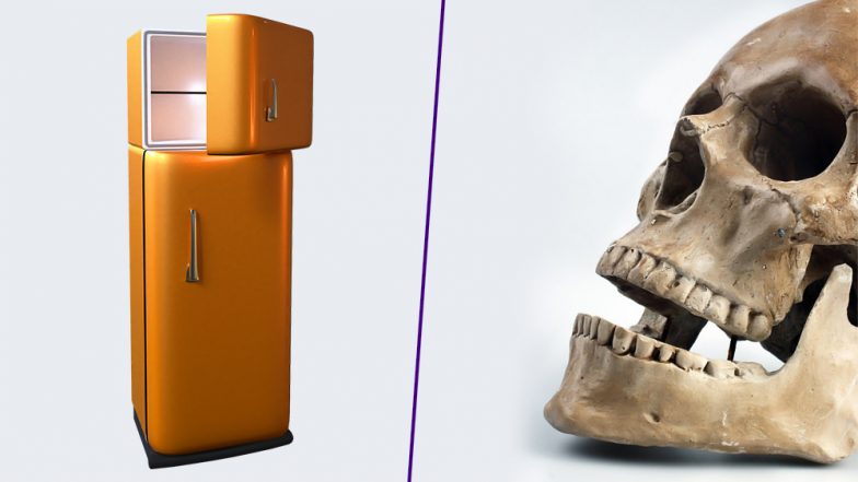 Missouri Man Finds Corpse in Dead Mother's Freezer, Believes It's His Sister!