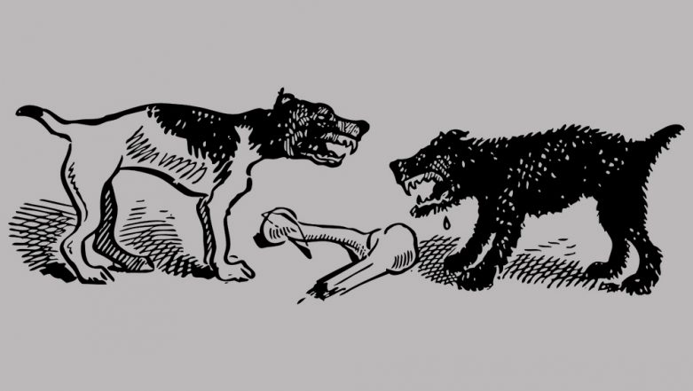 Dog Lover Suspected to be Killed by 18 Dogs