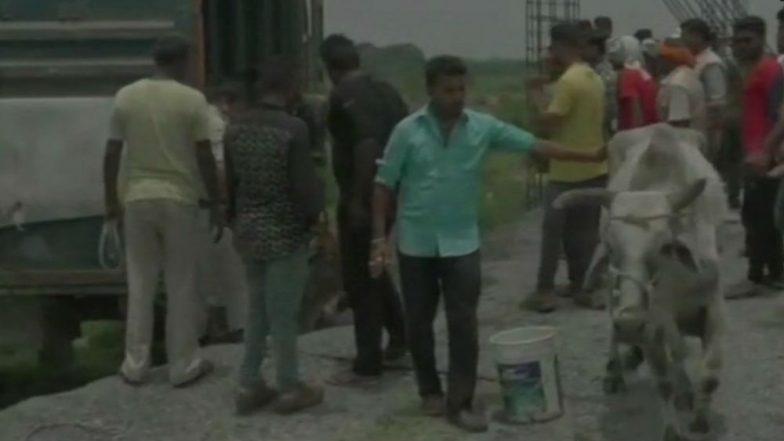 Madhya Pradesh: Man Thrashed by Locals for Smuggling Cattle in Jabalpur, Truck Carrying 30 Cattle Seized