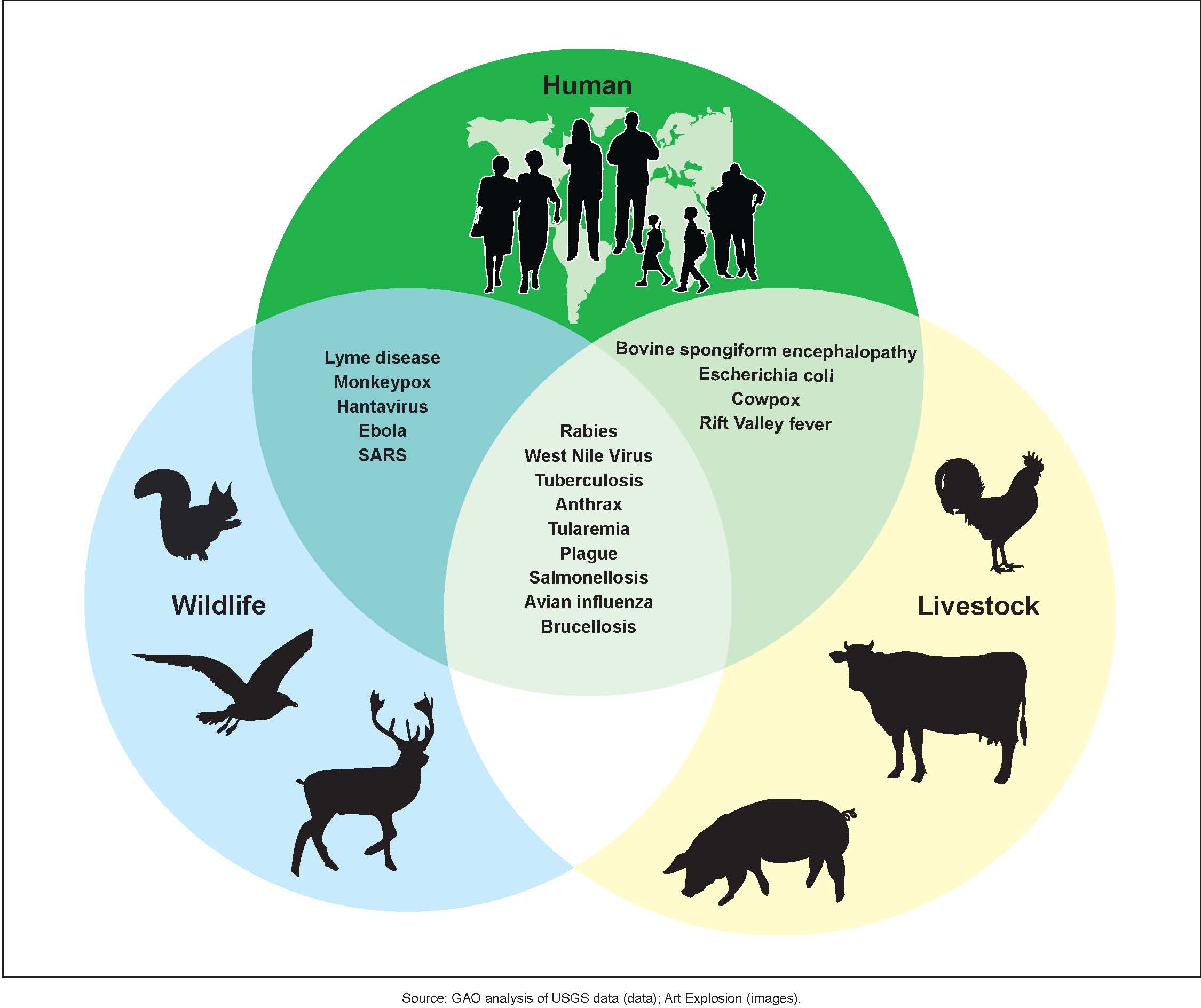 World Zoonoses Day 2019: How to Prevent Zoonotic Diseases Like Rabies