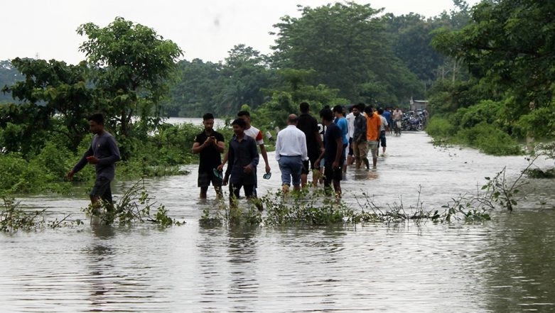 Assam Floods Leave 20 Dead; Kaziranga National Park Submerged, 17 Animals Dead