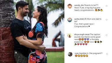 Bigg Boss 9 Fame Rochelle Rao and Keith Sequeira Post an Adorable Picture, Fans Speculate if the Couple Is Expecting Their First Child