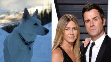 Jennifer Aniston And Ex-Husband Justin Theroux Reunite To Throw A Beautiful Ceremony For Their Late Dog, Dolly - View Pics