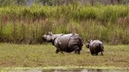 Assam Floods: Heavy Rainfall Wreaks Havoc, 70% of Kaziranga National Park Submerged, Animals Taken to Highlands
