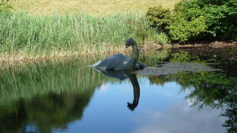 Loch Ness Monster Spotted in China? Viral Video Raising Conspiracy Theory of the Giant Eel Is Fake Loch Ness Monster Spotted in China? Viral Video Raising Conspiracy Theory of the Giant Eel Is Fake