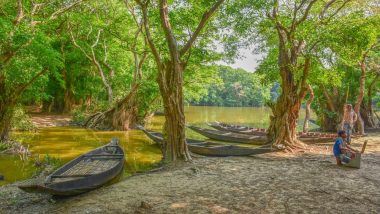 International Day for the Conservation of the Mangrove Ecosystem 2019: Why Protecting Mangroves Is Important for our Environment
