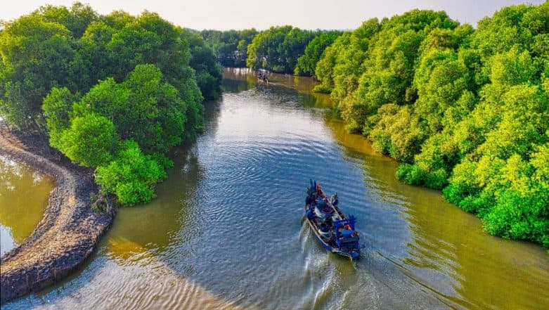 International Day for the Conservation of the Mangrove Ecosystem 2019: Theme and Significance of the Day International Day for the Conservation of the Mangrove Ecosystem 2019: Theme and Significance of the Day