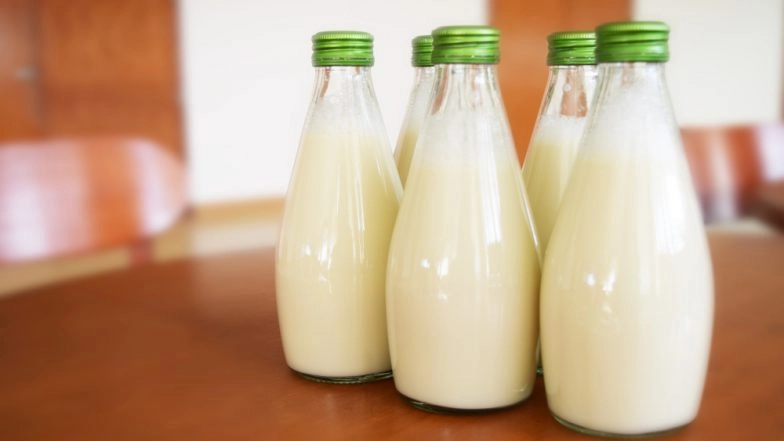 National Milk Day 2020: Which Type Of Milk Is The Healthiest? The Health Benefits and The Calorie Counts Explained!