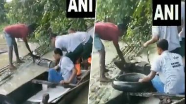 Rhino Calf Saved From Drowning in Water by Rescuers at Kaziranga National Park, Watch Video