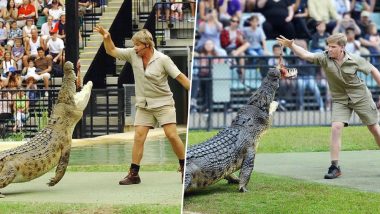 Steve Irwin's Son Robert Recreates 15-Year-Old Memory of The Crocodile Hunter and People Can't Stop Their Happy Tears (View Pic)