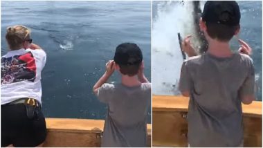 Narrow Escape For Boy After Great White Shark Leaps Out of Water at Cape Cod Bay, Almost Bites Him (Watch Video)