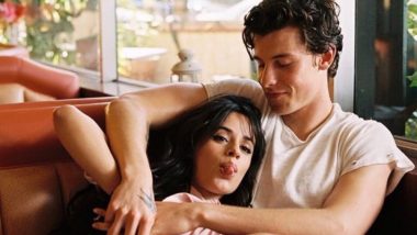 Shawn Mendes Dodges a Question on Dating Camila Cabello at a Fan Event But His Smile Says It All (Watch Video)