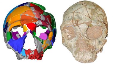 Oldest Human Remain Found Outside Africa In Form Of 210,000-Year-Old Skull