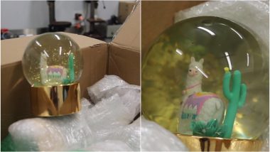 7.5 Litres of Liquid Meth Worth USD 1 Million Seized Seized From Toy Snow Globes in Sydney! (Watch Video)