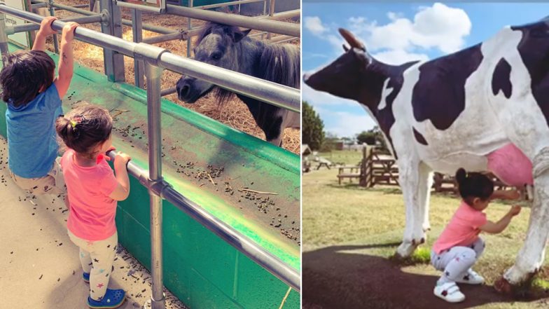 Taimur and Inaaya are Busy Exploring a Farm in London in These New Adorable Clicks
