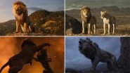 The Lion King Box Office Collection Day 17: Jon Favreau's Film Is Already a Blockbuster in India, Rakes in Rs 139.20 Crore
