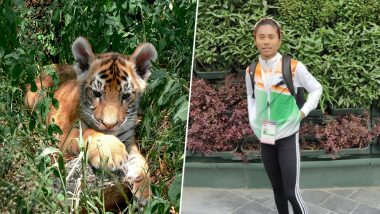 International Tiger Day 2019: Six-Month-Old Cub in Bengaluru's National Park Named After Hima Das