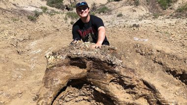65 Million-Year-Old Triceratops Skull Discovered by US College Student During Paleontology Dig in North Dakota (See Pictures)