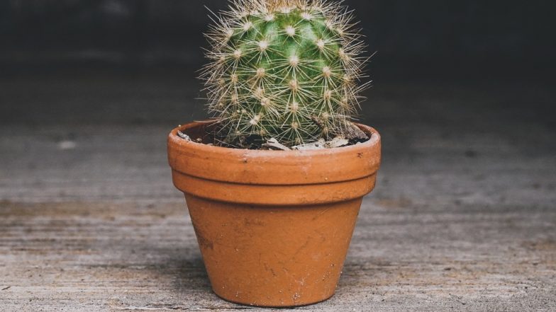 Can You Have Sex With UTI? All Your Queries About Intercourse During Urinary Tract Infection Answered