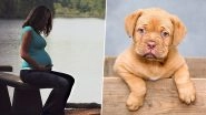 Pregnant Woman Wants Neighbour to Change Pet Dog&rsquo;s Name for THIS Outrageous Reason