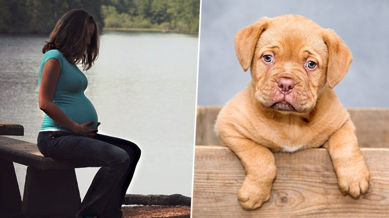 Pregnant Woman Wants Neighbour to Change Pet Dog’s Name for THIS Outrageous Reason