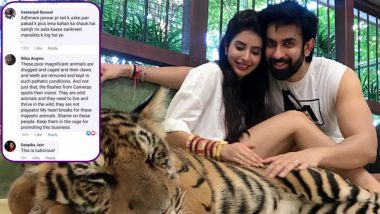 Charu Asopa and Rajeev Sen Slammed for Posing With a Sedated Tiger During Their Mini Honeymoon