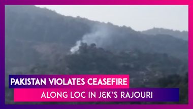 Pakistan Violates Ceasefire Along the Line of Control (LoC) in J&K’s Rajouri District