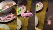 Zombie Chicken! Viral Video of a Raw Piece of Poultry Meat &lsquo;Escaping&rsquo; Out of a Plate Will Freak the BEJESUS Out of You (Watch Now)