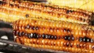 Corn Benefits and Nutrition: Is it Healthy to Eat Bhutta? 5 Myths Busted