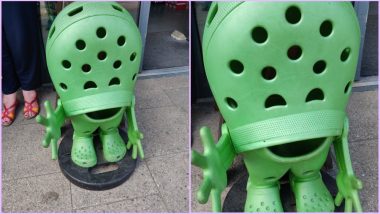 Bizarre Pic of a Croc Shoe Man Wearing Crocs Go Viral, Baffled ...