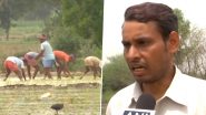 Farmers Use Toxic Drain Water in Delhi&rsquo;s Mungeshpur, Area Registers Rise in Cancer Cases