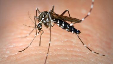 Tips to Prevent Dengue: How To Stay Protected From This Disease In Monsoon?