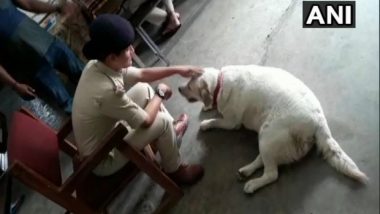 Pet Dog Adopted by Police Station in MP After its Owners Get Arrested in Murder Case