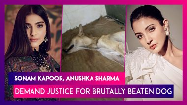 Sonam Kapoor, Anushka Sharma Demand Action Against Animal Cruelty as a Dog Is Beaten in Mumbai