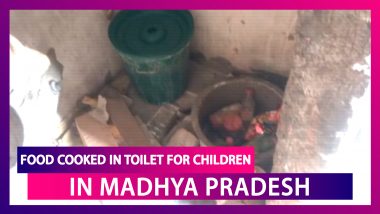 Shocking! No problem in cooking food inside toilet: Imarti Devi, Madhya Pradesh Minister