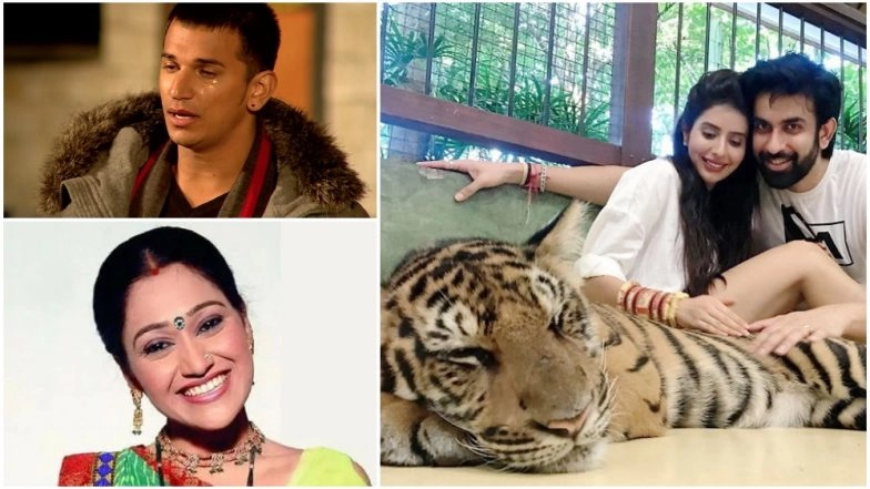 Prince Narula, Disha Vakani, Charu Asopa &ndash; Take a Look at the TV Newsmakers of the Week