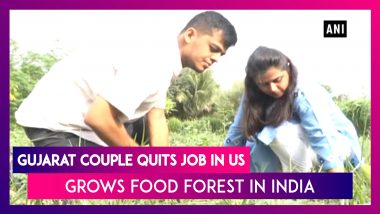 Gujarat: Couple Create Food Forest After Quitting Job in US