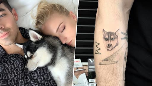 Joe Jonas and Sophie Turner Get Tattoos of Their Dog Waldo After Its Tragic Death Joe Jonas and Sophie Turner Get Tattoos of Their Dog Waldo After Its Tragic Death