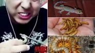 Chinese Vlogger, Sun Dies During Live-Stream Eating Centipedes, Lizards and Other Poisonous Insects (Watch Video)