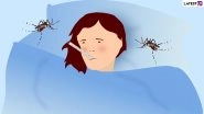 Dengue Fever Symptoms: Warning Signs of the Vector-Borne Disease You Should NEVER Ignore