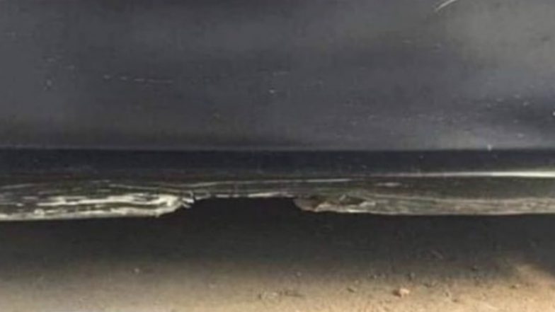 Optical Illusion Baffles Internet! Viral Image That Looks Like a Beach Is Actually a Broken Car Door