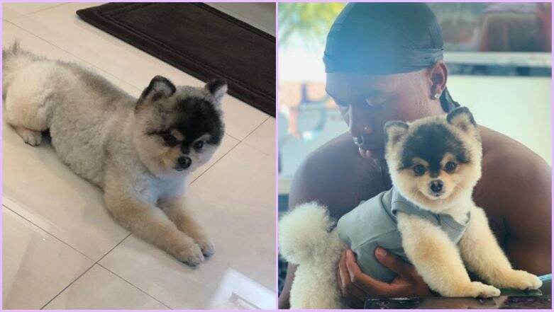 Footballer Daniel Sturridge Reunited With His Dog