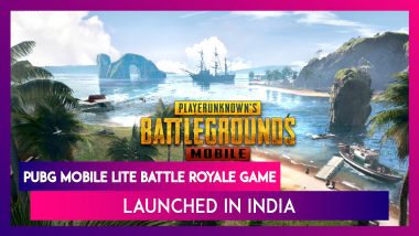 PUBG Mobile Lite Online Game Launched For Indian Gamers