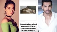 Sonam K Ahuja, John Abraham, Anushka Sharma Demand Justice for an Abused Animal! Will You Help?