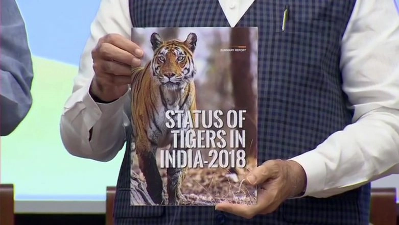 Population of Tigers Rises by 700 in The Country, Tiger Census of India Released by PM Modi